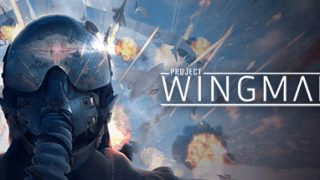 【PC游戏/123云盘】僚机计划/Project Wingman